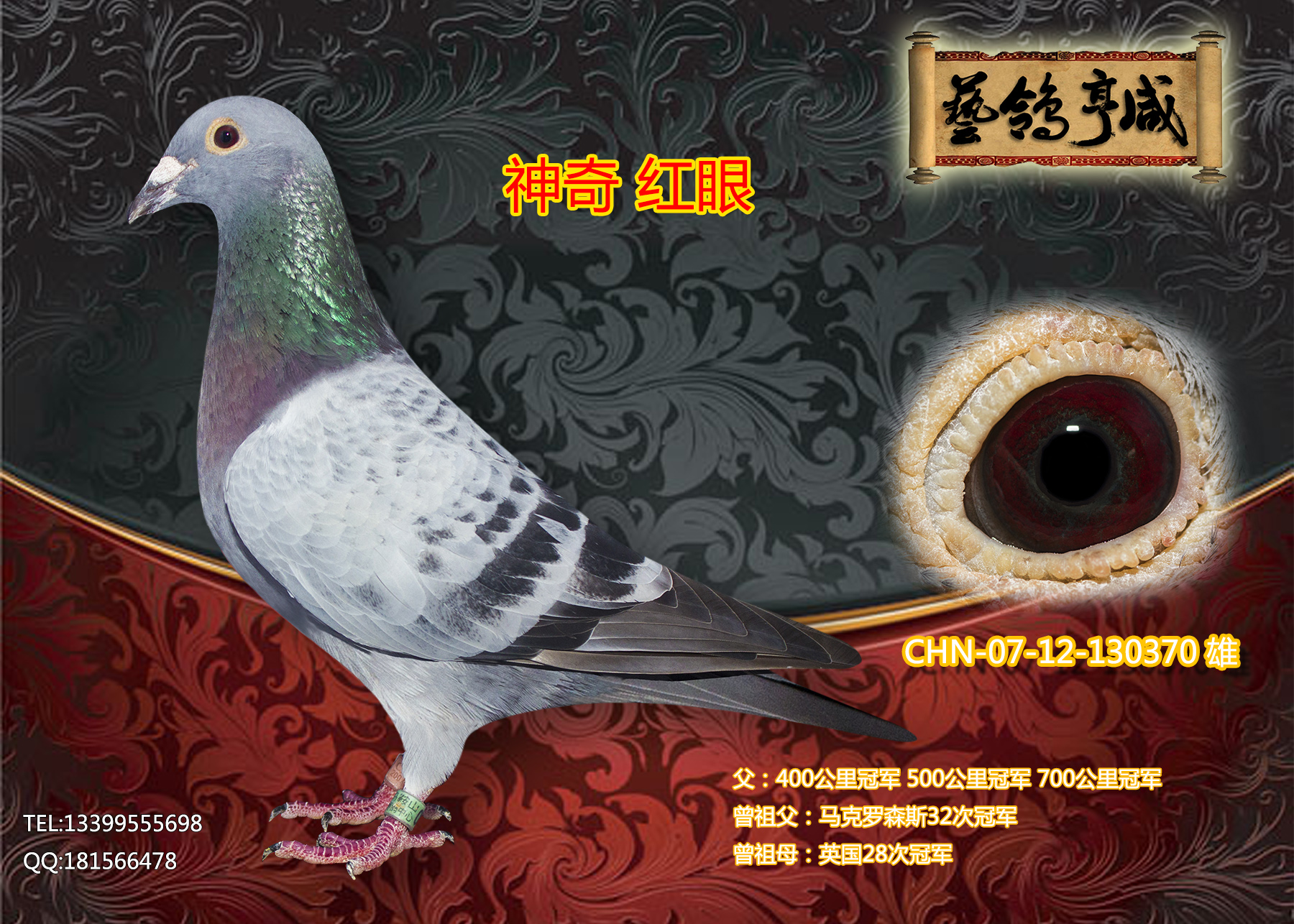 神奇红眼