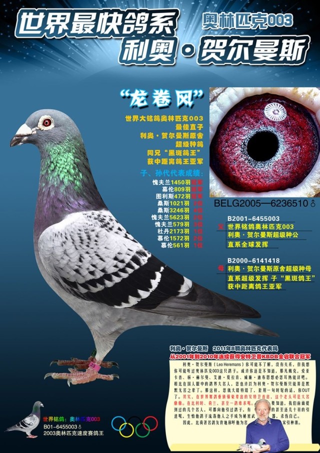 "龙卷风"(非卖品)