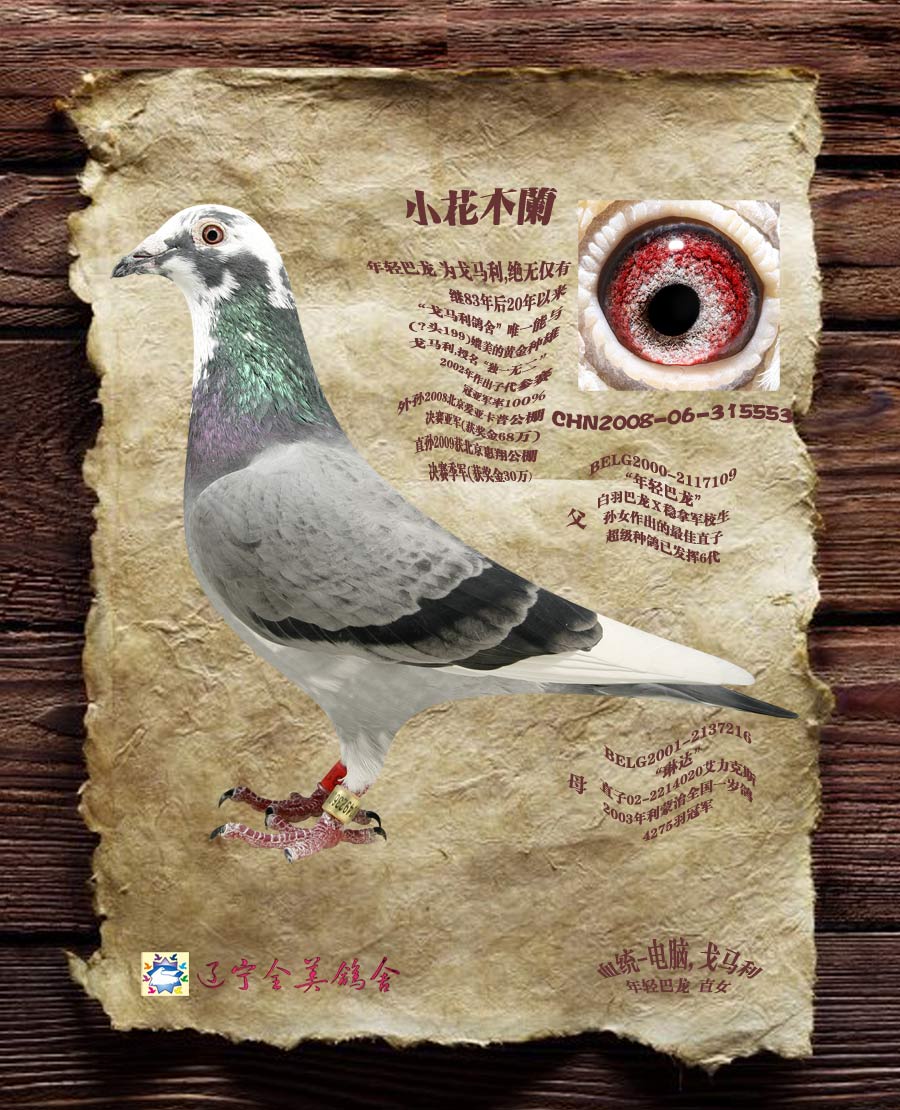小花木兰