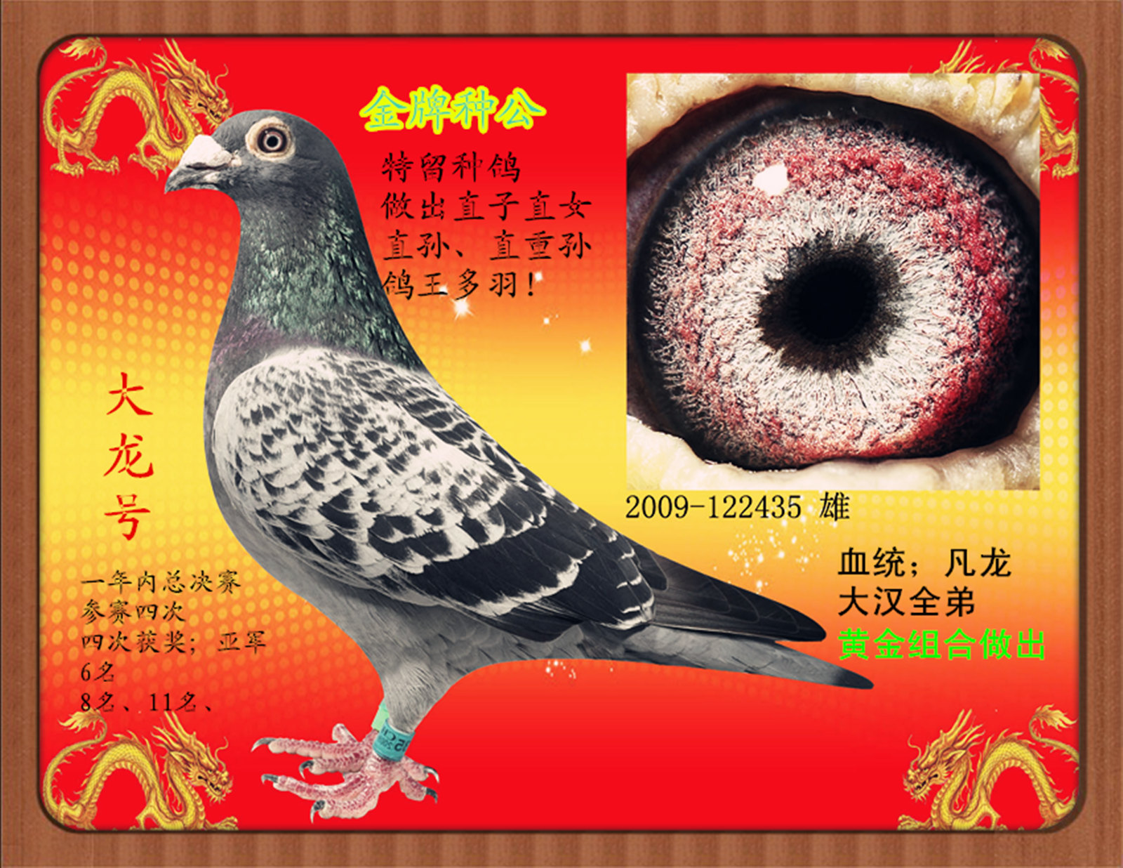 大龙号
