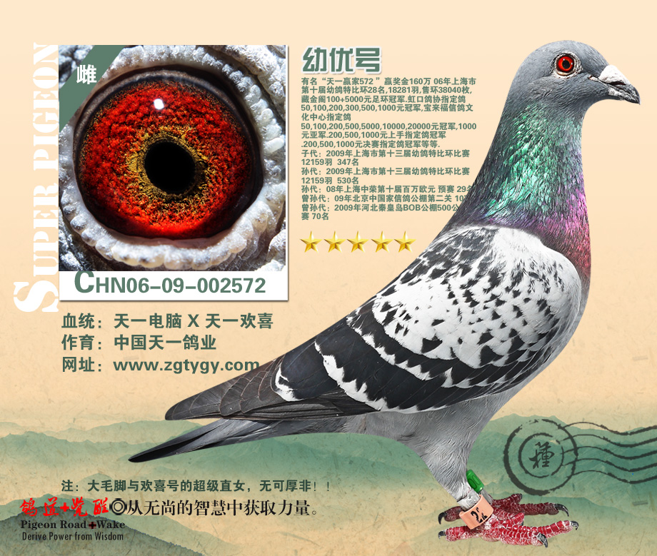 中国天一鸽业---天一赢家572