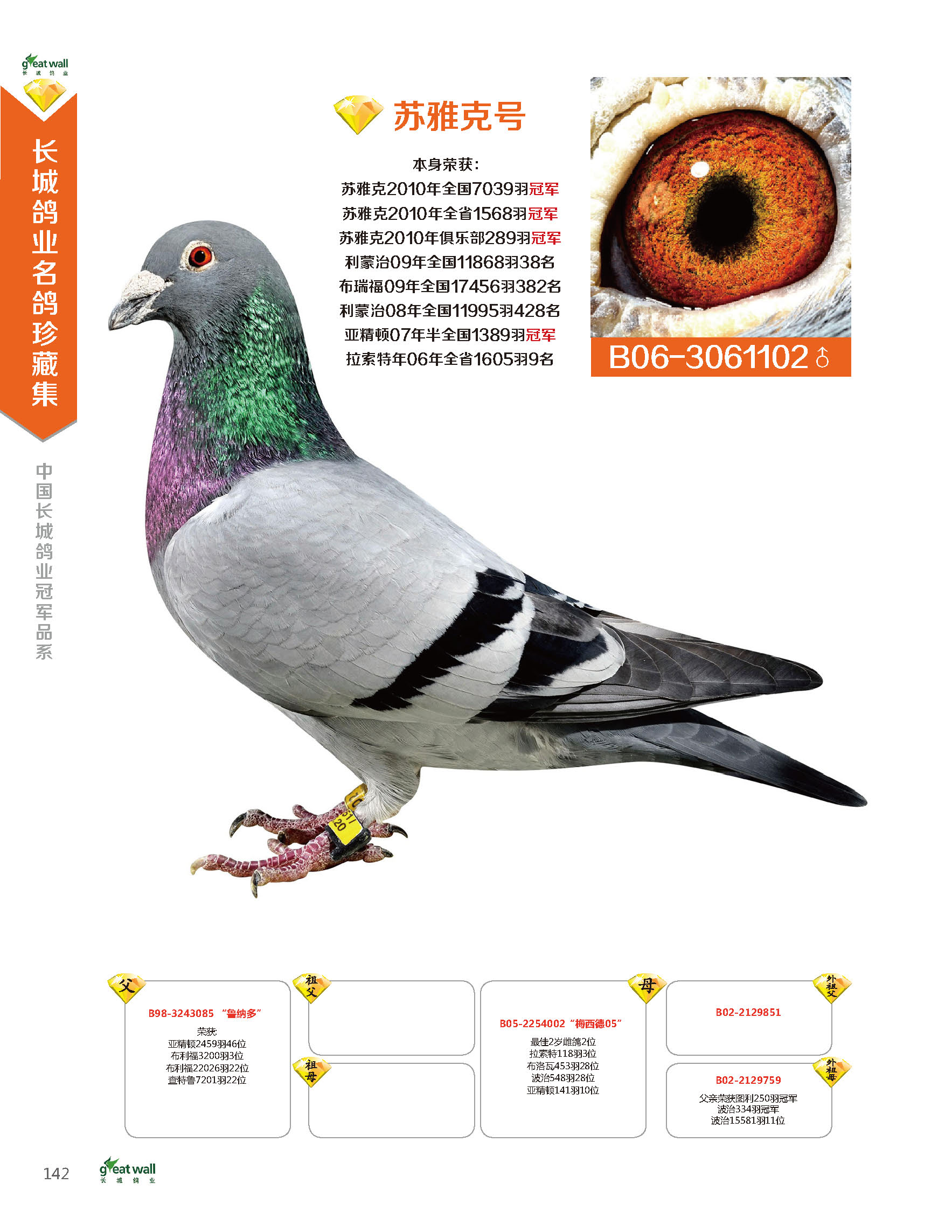 北京长城鸽业---苏雅克号