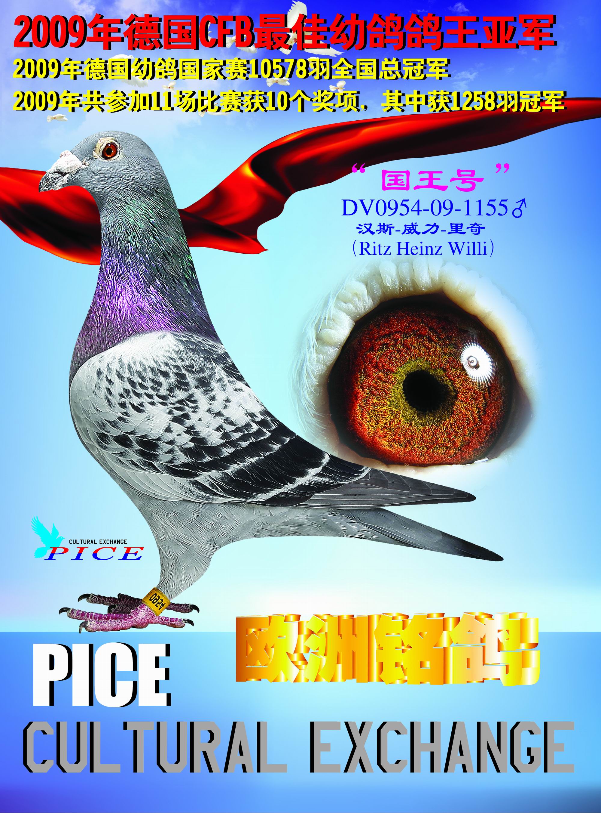 中欧赛鸽文化交流中心---国王号
